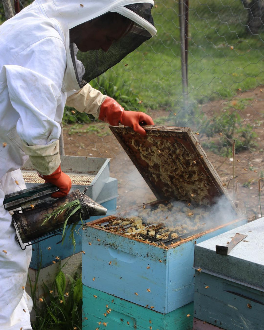 Bee Pollen Body Oil